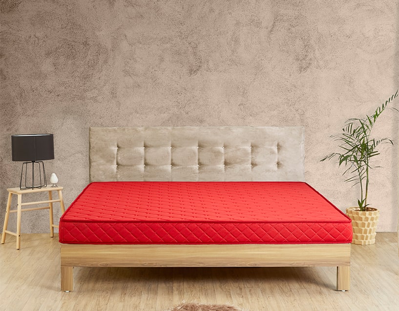 sleepwell mattress price list in kanpur